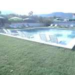 Vergina סארטי