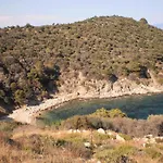 Vergina סארטי