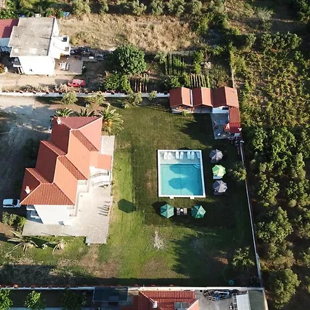 Vergina סארטי