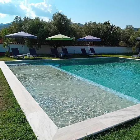 Vergina * Sárti