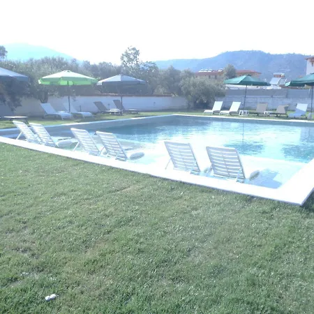Vergina Σάρτη